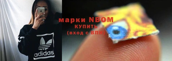a pvp Аркадак