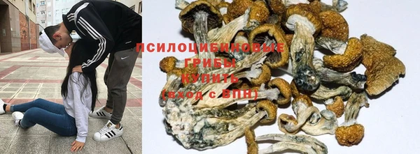 тгк Армянск
